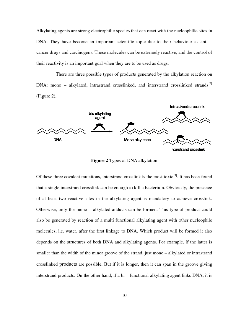 Anteprima della tesi: Selective Delivery of Quinone Methide Precursor QMP by Peptide Nucleic Acids PNAs, Pagina 2