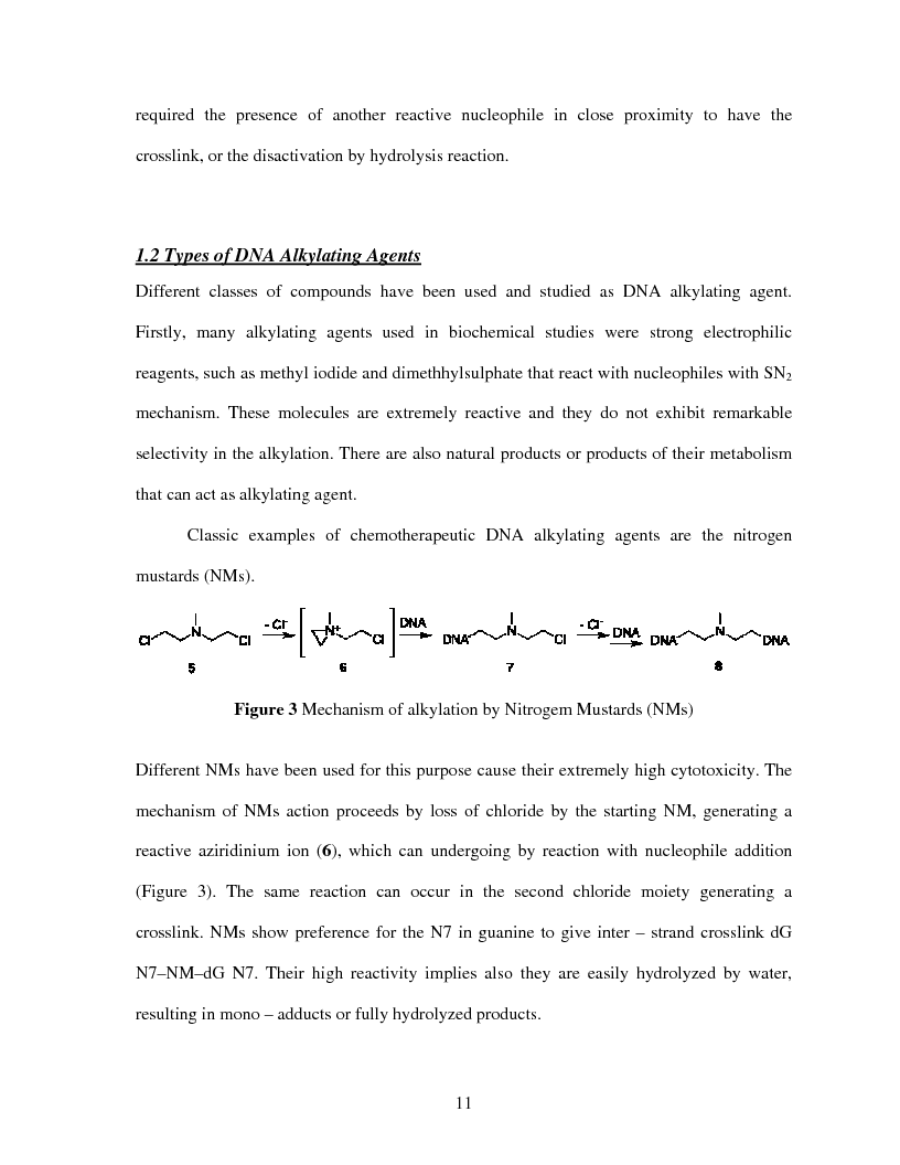 Anteprima della tesi: Selective Delivery of Quinone Methide Precursor QMP by Peptide Nucleic Acids PNAs, Pagina 3