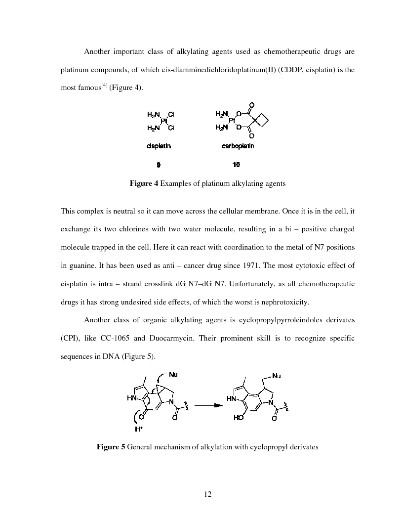 Anteprima della tesi: Selective Delivery of Quinone Methide Precursor QMP by Peptide Nucleic Acids PNAs, Pagina 4