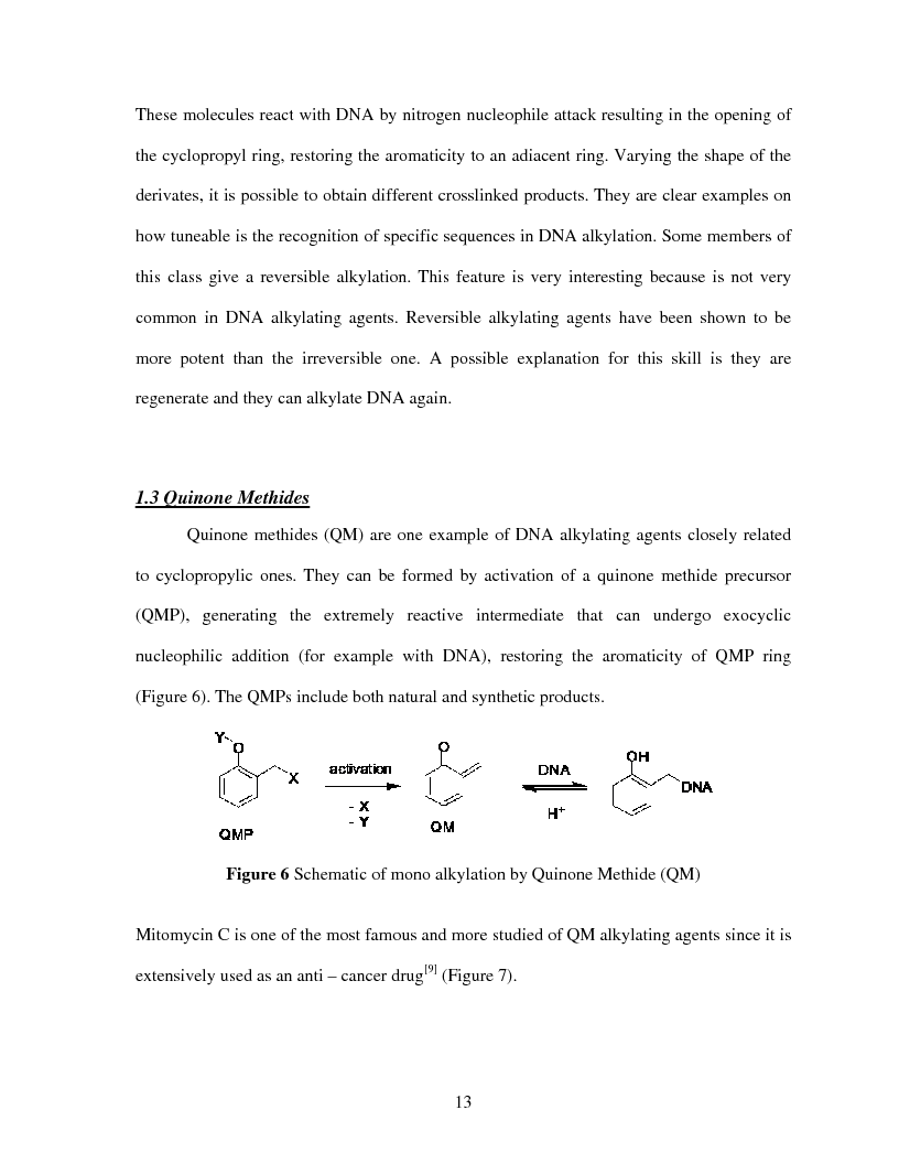 Anteprima della tesi: Selective Delivery of Quinone Methide Precursor QMP by Peptide Nucleic Acids PNAs, Pagina 5