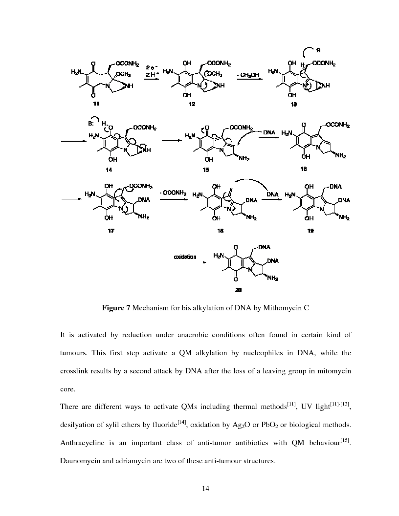 Anteprima della tesi: Selective Delivery of Quinone Methide Precursor QMP by Peptide Nucleic Acids PNAs, Pagina 6