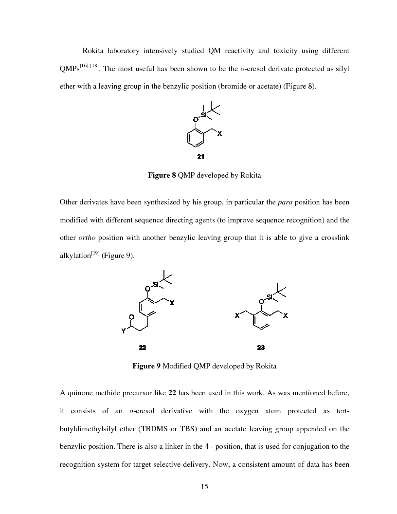Anteprima della tesi: Selective Delivery of Quinone Methide Precursor QMP by Peptide Nucleic Acids PNAs, Pagina 7
