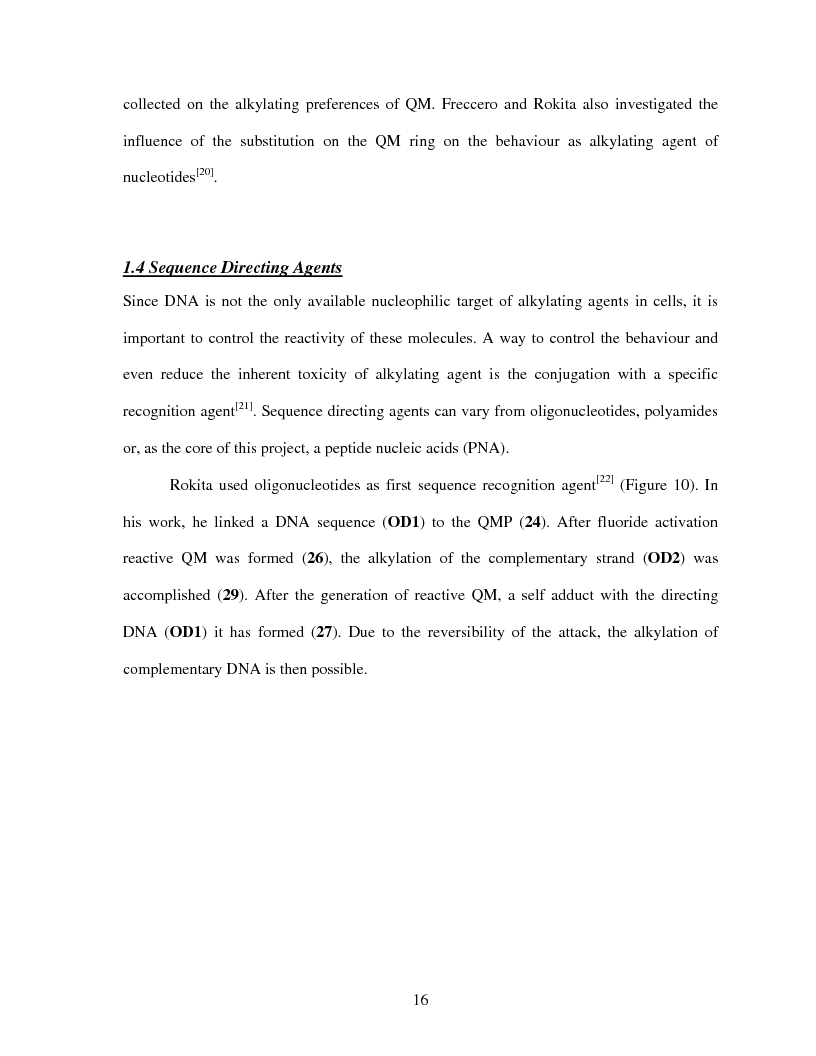 Anteprima della tesi: Selective Delivery of Quinone Methide Precursor QMP by Peptide Nucleic Acids PNAs, Pagina 8