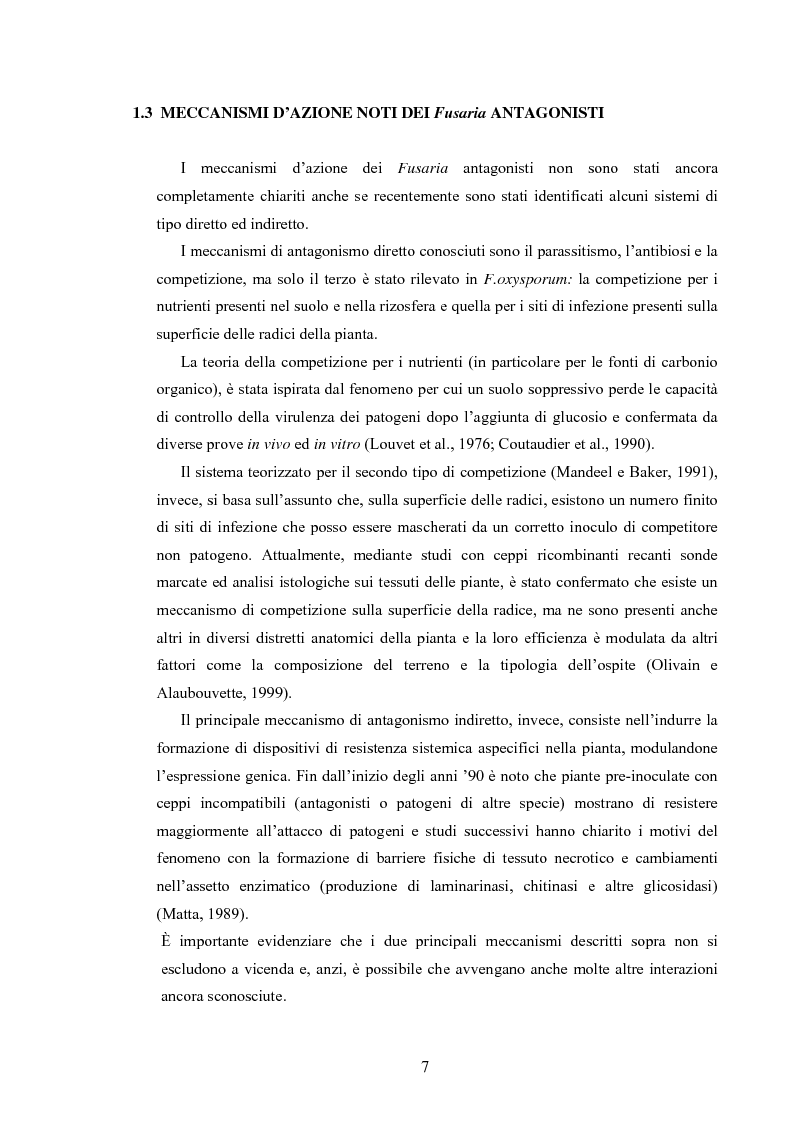 Anteprima della tesi: Composti organici volatili come meccanismo di antagonismo a lunga distanza in Fusarium oxysporum, Pagina 4