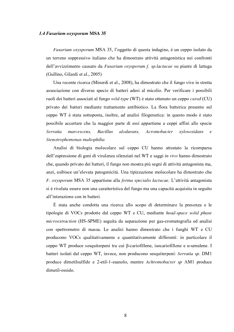 Anteprima della tesi: Composti organici volatili come meccanismo di antagonismo a lunga distanza in Fusarium oxysporum, Pagina 5