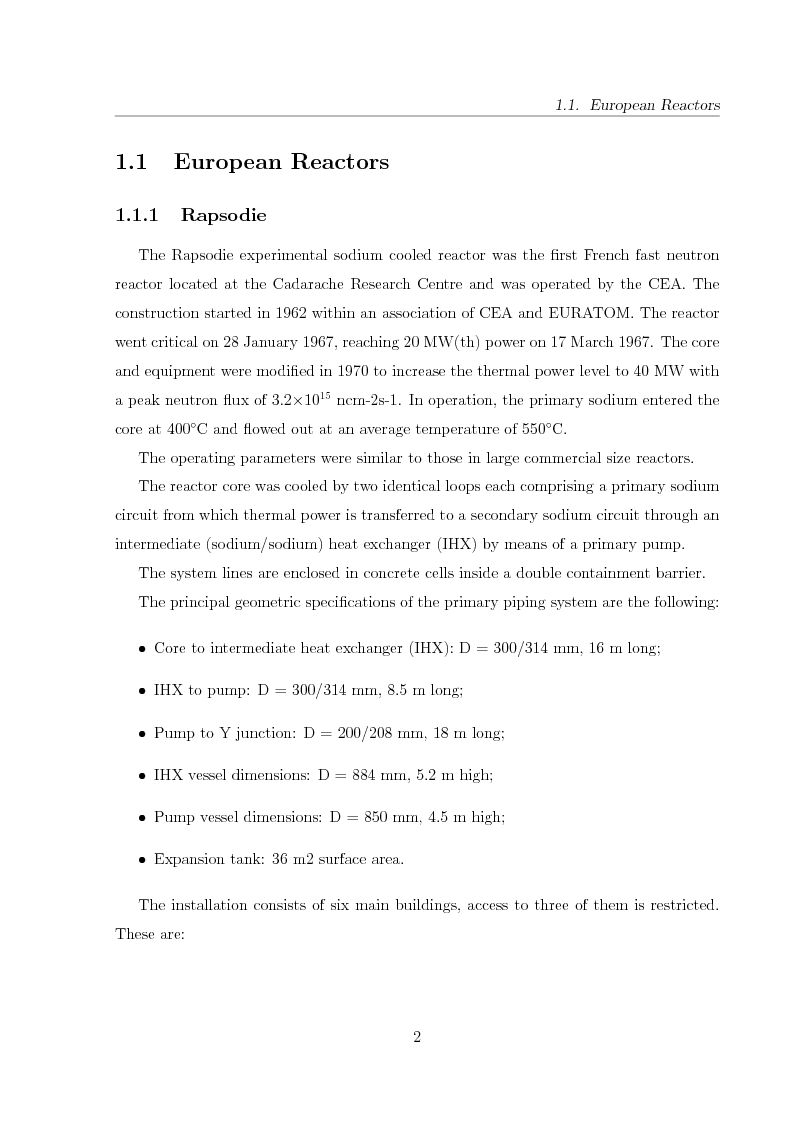 Anteprima della tesi: Innovative Steam Generator for Sodium-Cooled Fast Reactors, Pagina 2