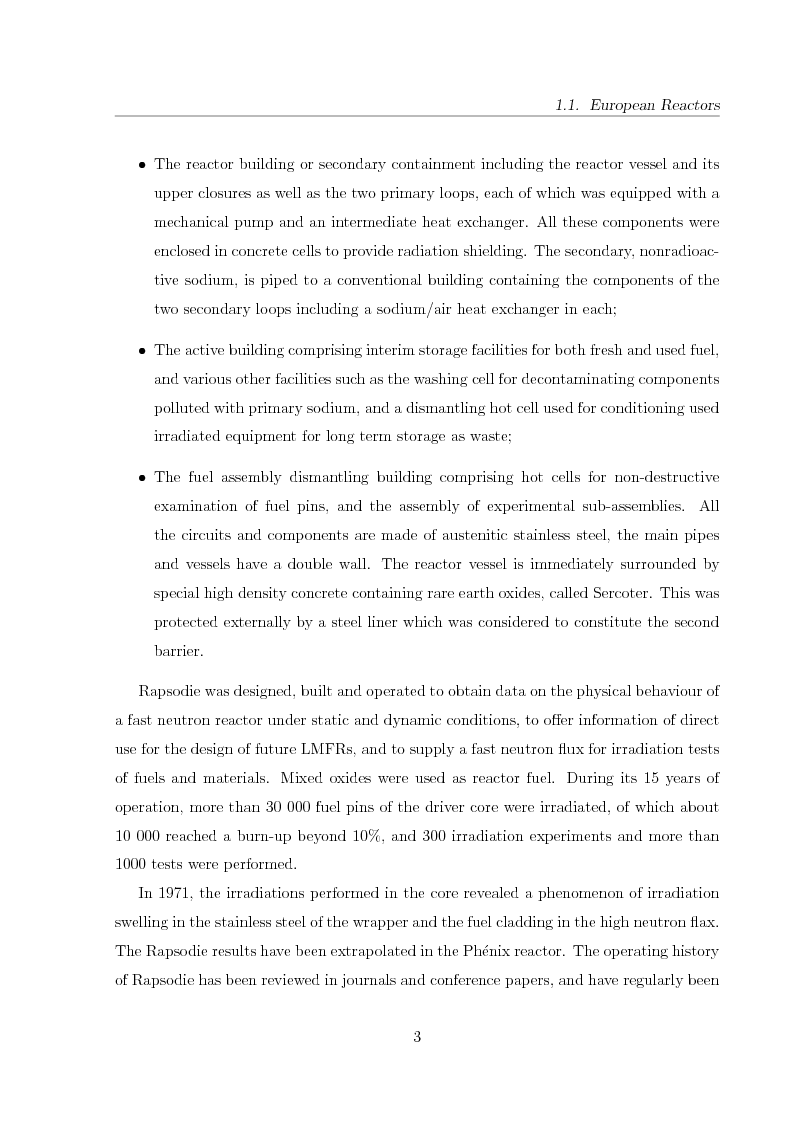 Anteprima della tesi: Innovative Steam Generator for Sodium-Cooled Fast Reactors, Pagina 3