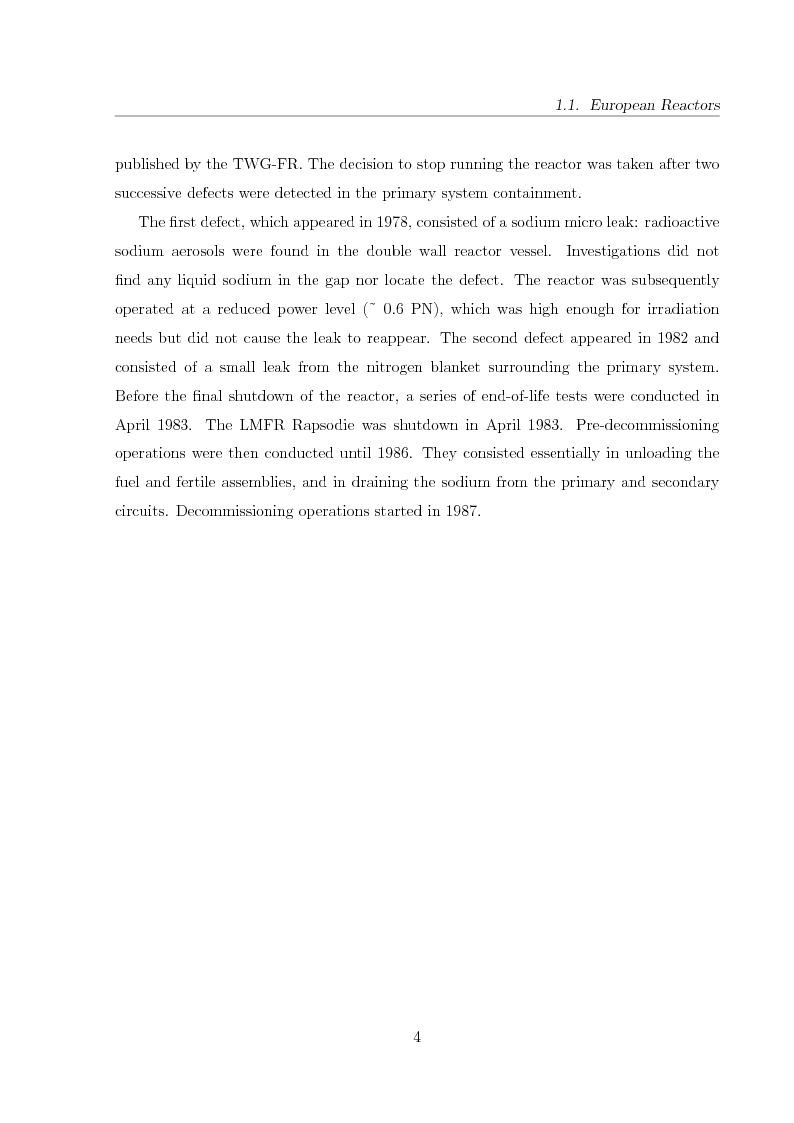 Anteprima della tesi: Innovative Steam Generator for Sodium-Cooled Fast Reactors, Pagina 4