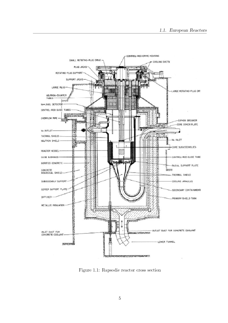 Anteprima della tesi: Innovative Steam Generator for Sodium-Cooled Fast Reactors, Pagina 5