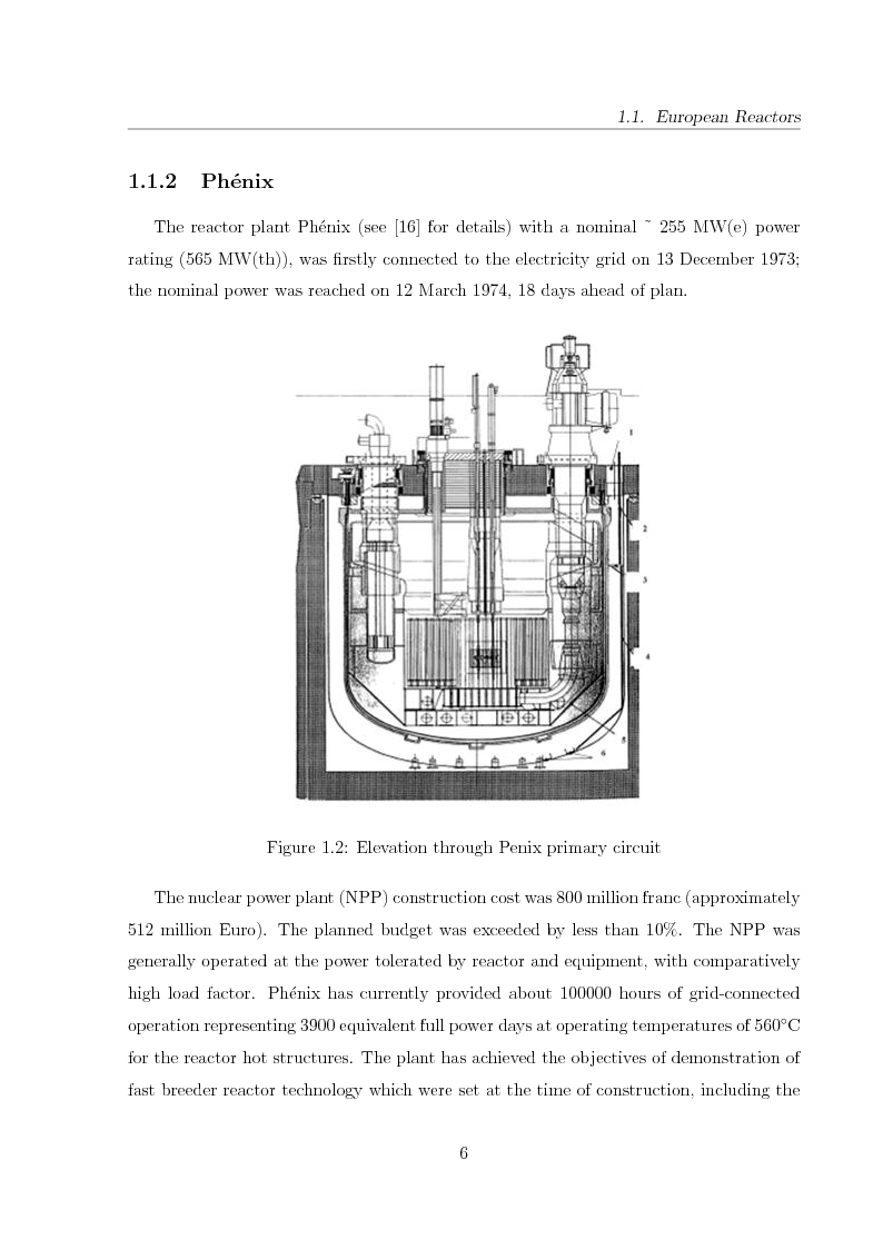 Anteprima della tesi: Innovative Steam Generator for Sodium-Cooled Fast Reactors, Pagina 6