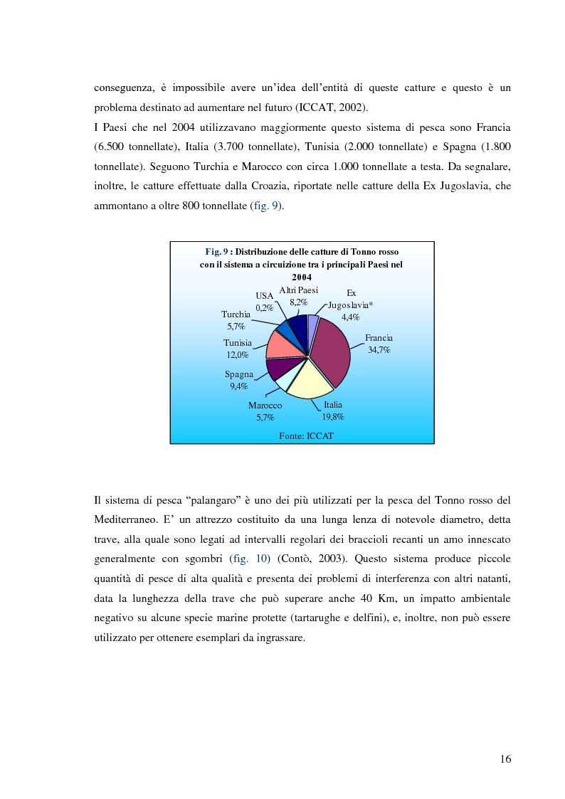 Anteprima della tesi: Pesca e allevamento del tonno rosso: analisi economica della maricoltura, Pagina 11