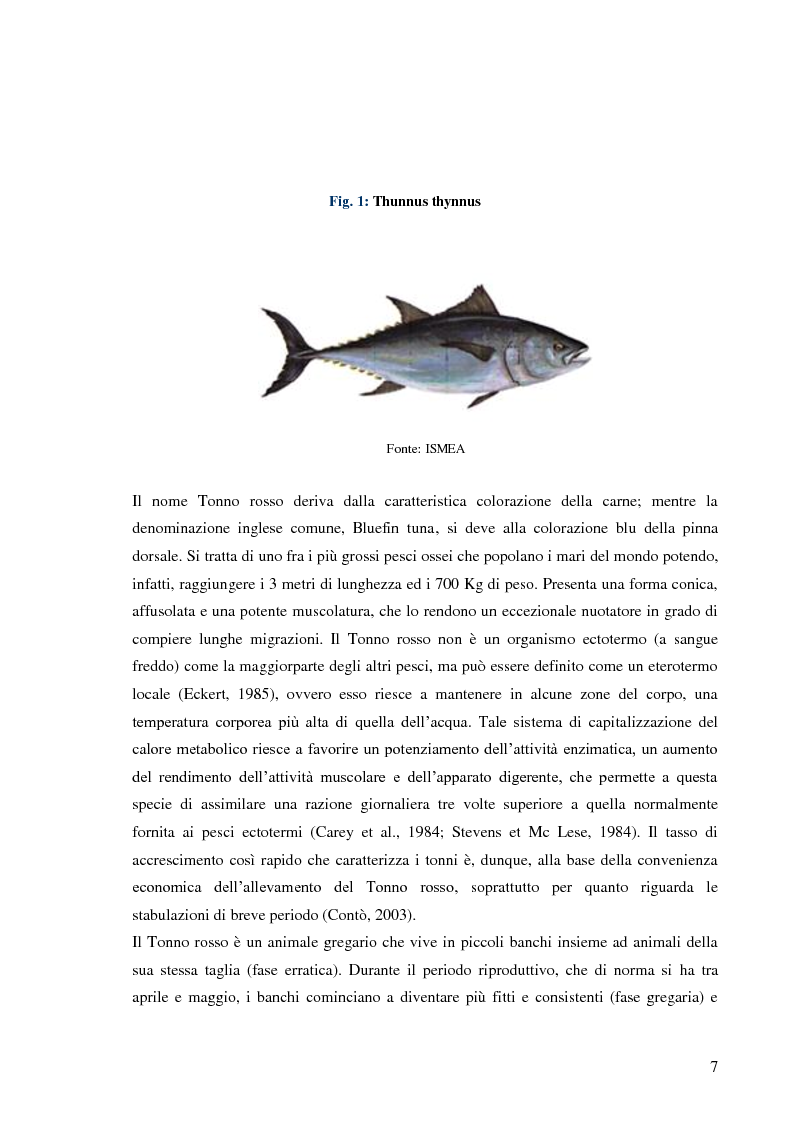 Anteprima della tesi: Pesca e allevamento del tonno rosso: analisi economica della maricoltura, Pagina 2
