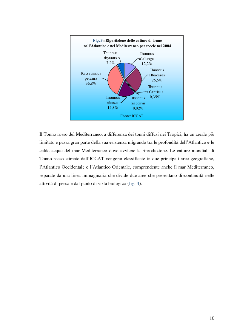 Anteprima della tesi: Pesca e allevamento del tonno rosso: analisi economica della maricoltura, Pagina 5
