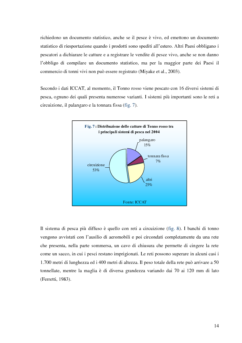 Anteprima della tesi: Pesca e allevamento del tonno rosso: analisi economica della maricoltura, Pagina 9