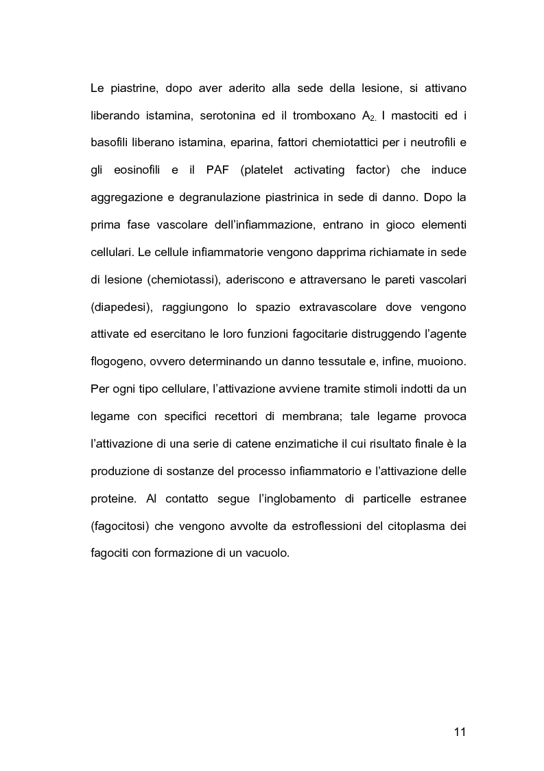 Anteprima della tesi: Assistenza infermieristica nei pazienti cardiochirurgici con deiscenza della ferita chirurgica sternale, portatori di VAC Terapia, Pagina 7