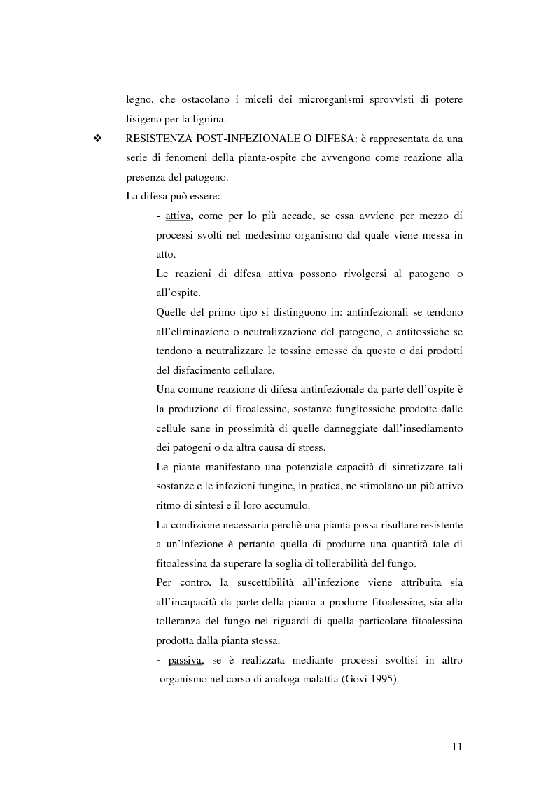 Anteprima della tesi: Prima ipotesi di controllo della qualità ambientale in aziende agribiologiche, Pagina 13