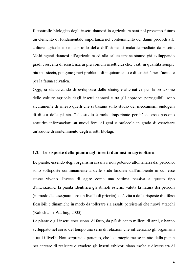 Anteprima della tesi: Profili di espressione di geni di difesa in genotipi di pomodoro, Pagina 2