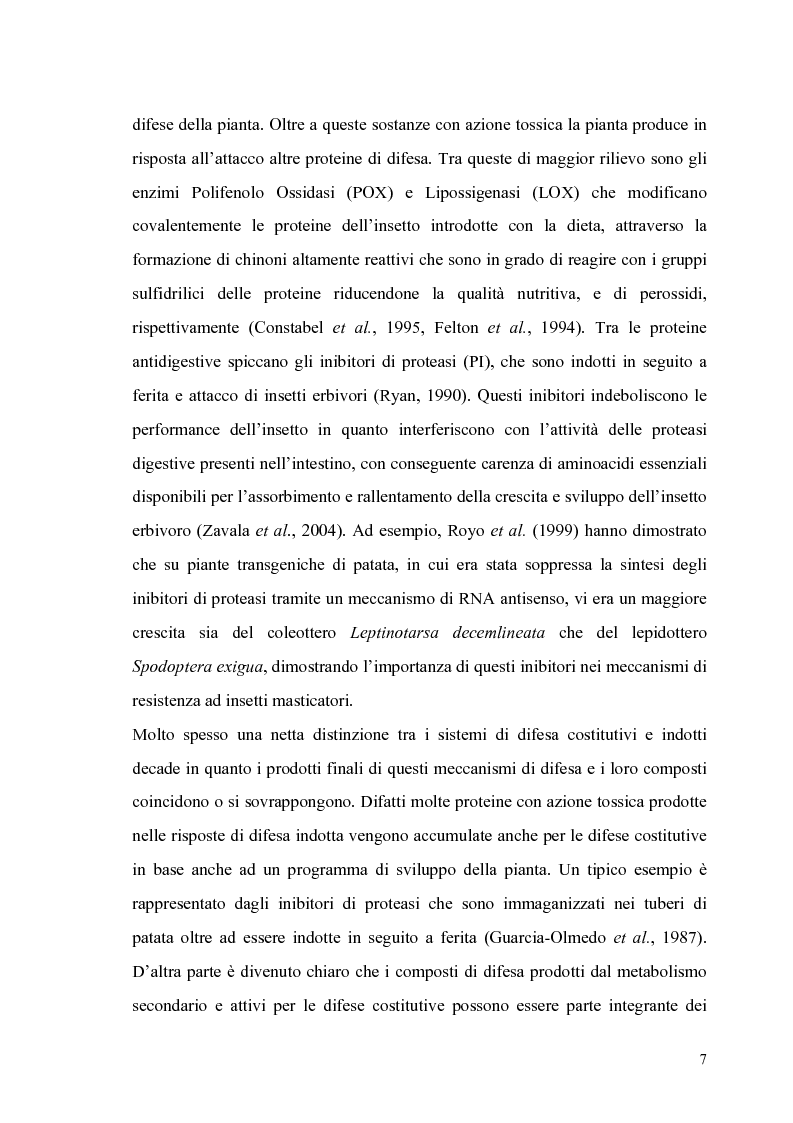 Anteprima della tesi: Profili di espressione di geni di difesa in genotipi di pomodoro, Pagina 5