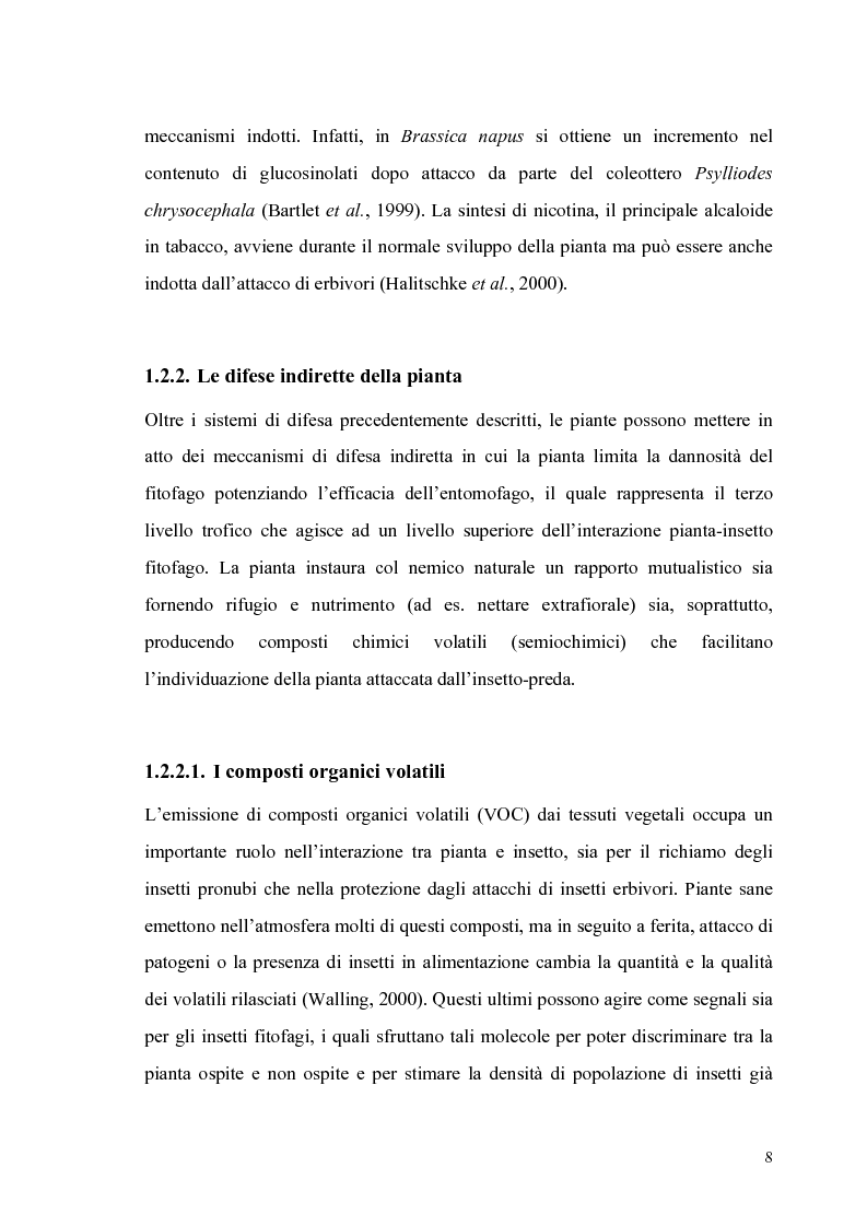 Anteprima della tesi: Profili di espressione di geni di difesa in genotipi di pomodoro, Pagina 6