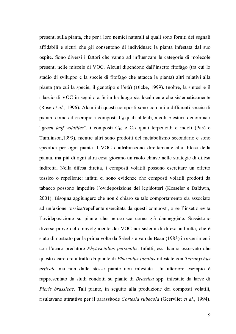 Anteprima della tesi: Profili di espressione di geni di difesa in genotipi di pomodoro, Pagina 7