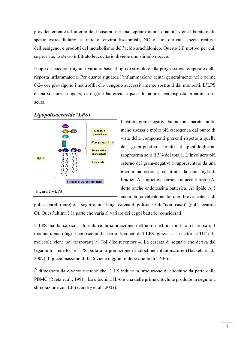 Anteprima della tesi: Studio dell'attività antinfiammatoria di estratti di propoli in un modello sperimentale in vitro con PBMC, Pagina 2