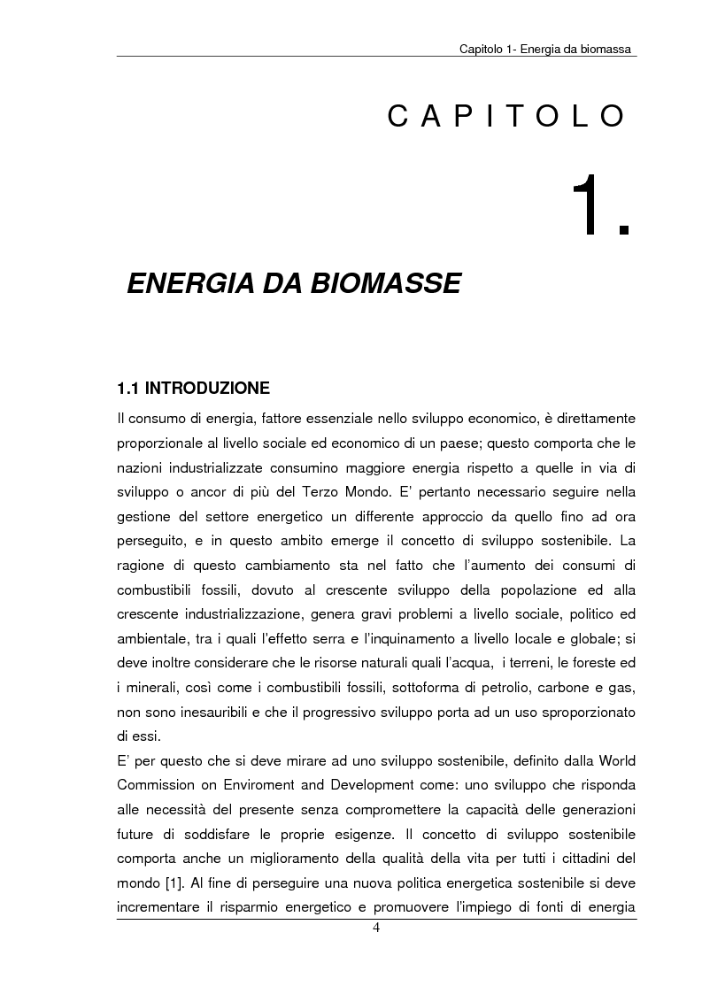 Anteprima della tesi: Analisi tecnica, economica ed ambientale di un campo coltivato a biomassa legnosa, Pagina 4