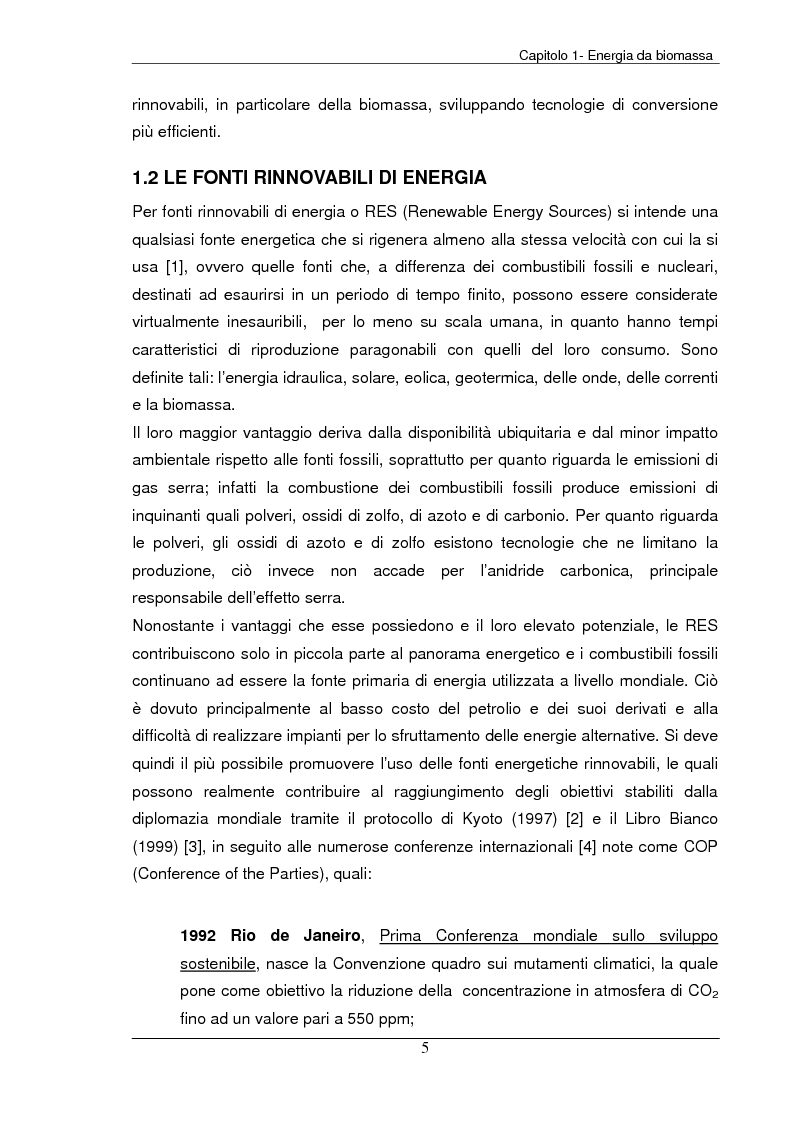 Anteprima della tesi: Analisi tecnica, economica ed ambientale di un campo coltivato a biomassa legnosa, Pagina 5