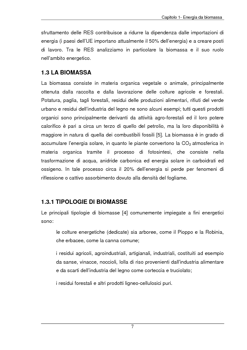 Anteprima della tesi: Analisi tecnica, economica ed ambientale di un campo coltivato a biomassa legnosa, Pagina 7