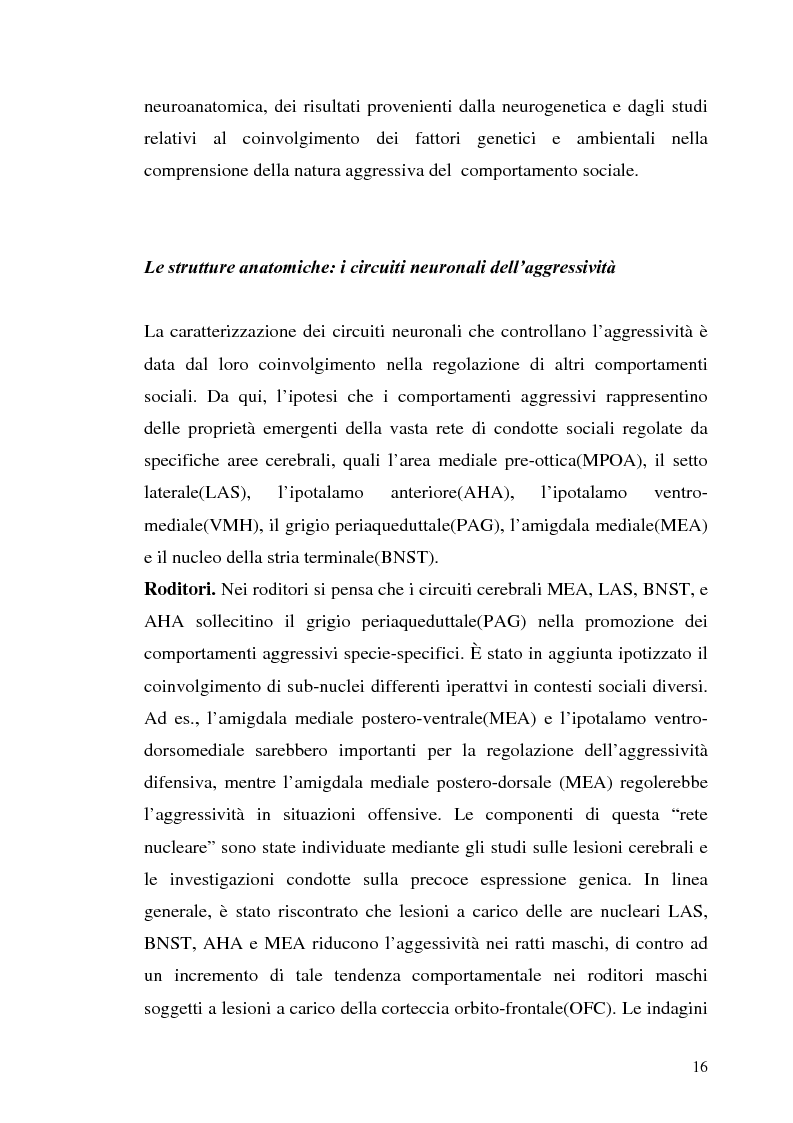 Anteprima della tesi: L'interazione tra fattori genetici e ambientali nelle condotte aggressive e antisociali degli adolescenti: il ruolo del polimorfismo MAOA (monoamina ossidasi-A), Pagina 13
