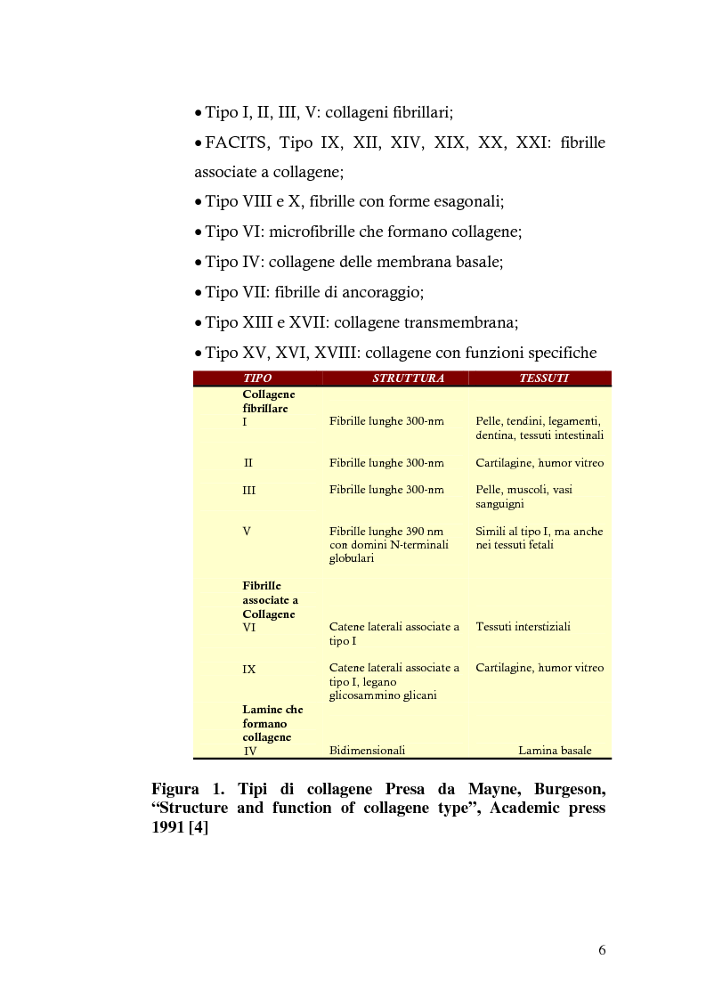 Anteprima della tesi: Risposta immunitaria umorale verso componenti della matrice extracellulare in pazienti con malattia celiaca, Pagina 2