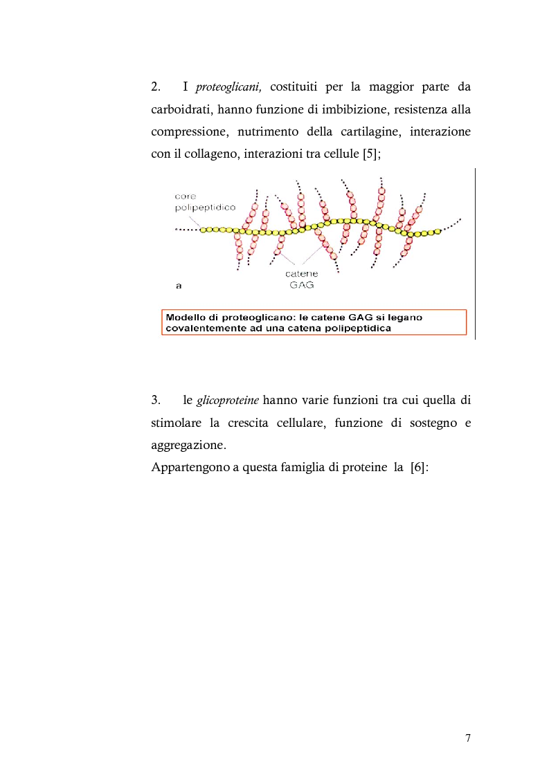 Anteprima della tesi: Risposta immunitaria umorale verso componenti della matrice extracellulare in pazienti con malattia celiaca, Pagina 3