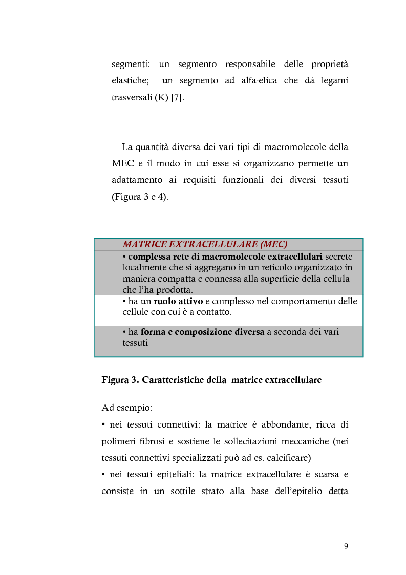 Anteprima della tesi: Risposta immunitaria umorale verso componenti della matrice extracellulare in pazienti con malattia celiaca, Pagina 5