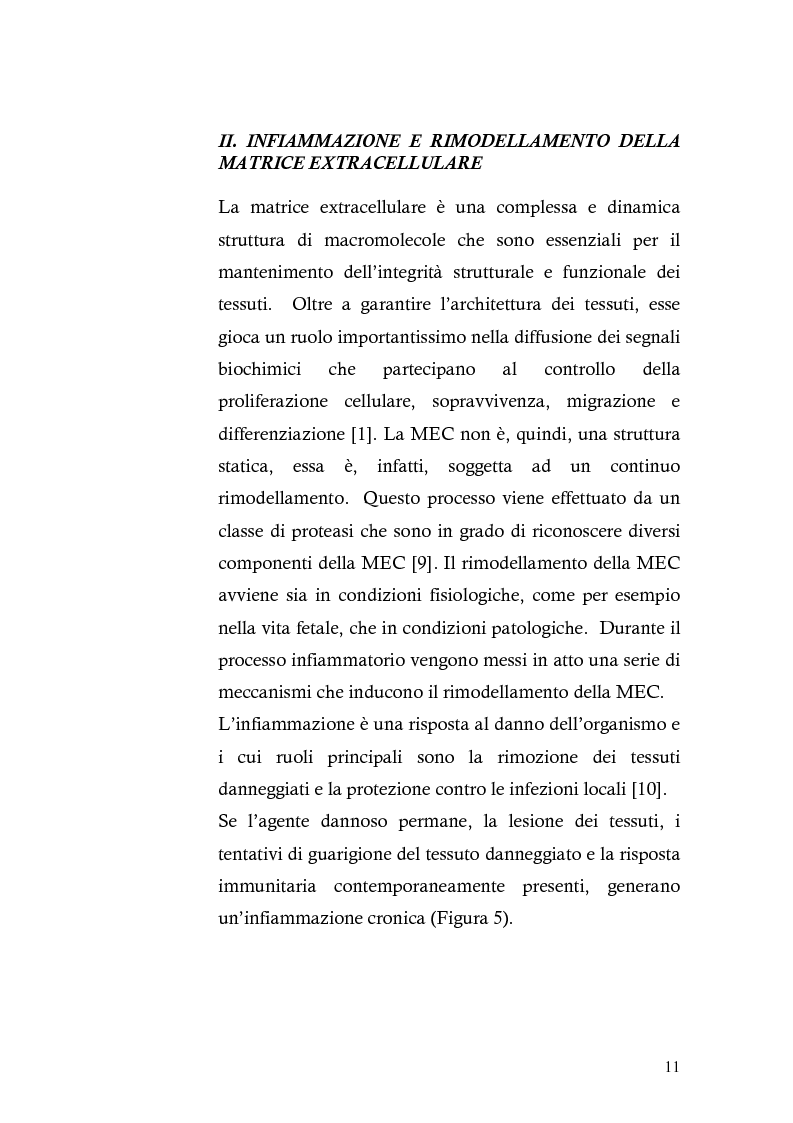 Anteprima della tesi: Risposta immunitaria umorale verso componenti della matrice extracellulare in pazienti con malattia celiaca, Pagina 7