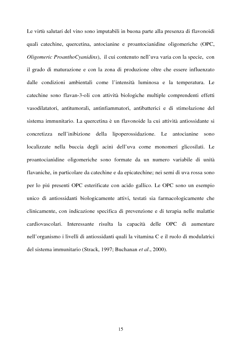 Anteprima della tesi: Piante micorrizate di carciofo: fenoli totali e attività antiossidante nei capolini, Pagina 13