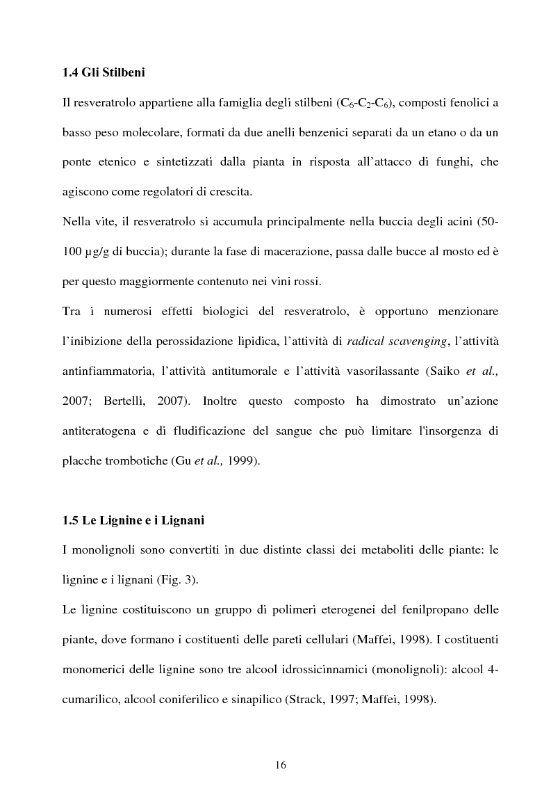 Anteprima della tesi: Piante micorrizate di carciofo: fenoli totali e attività antiossidante nei capolini, Pagina 14