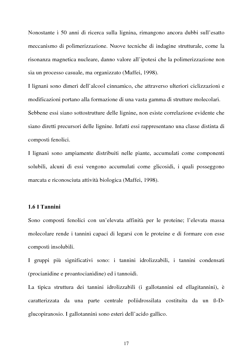 Anteprima della tesi: Piante micorrizate di carciofo: fenoli totali e attività antiossidante nei capolini, Pagina 15