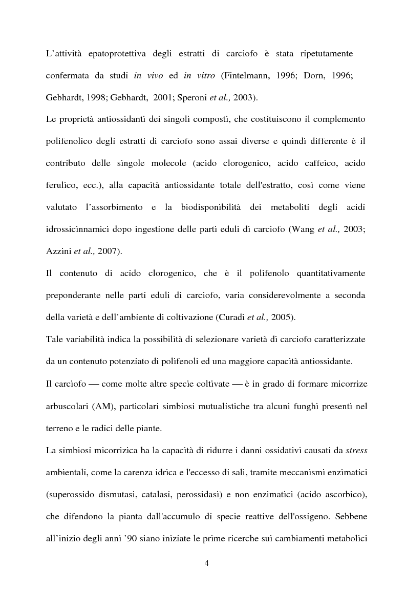 Anteprima della tesi: Piante micorrizate di carciofo: fenoli totali e attività antiossidante nei capolini, Pagina 2