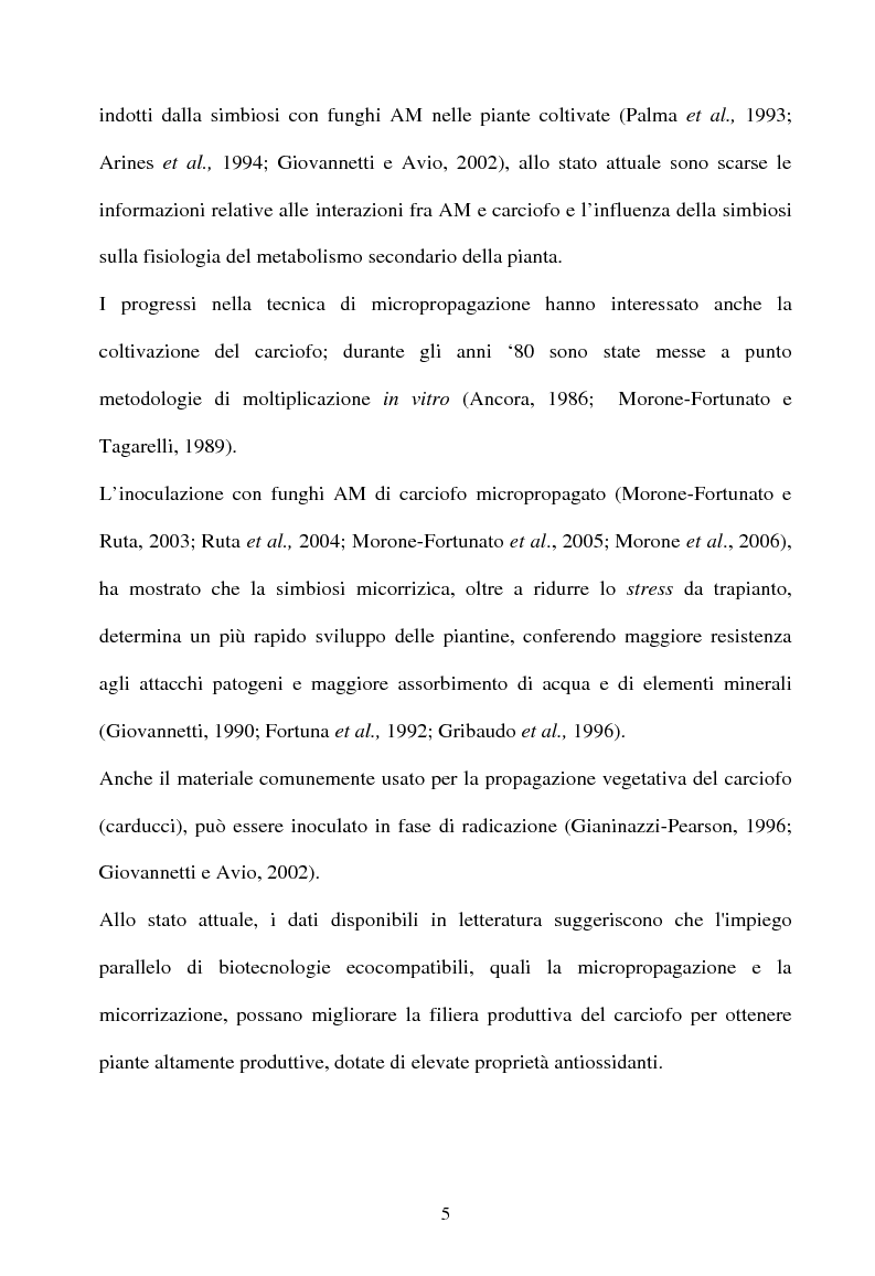 Anteprima della tesi: Piante micorrizate di carciofo: fenoli totali e attività antiossidante nei capolini, Pagina 3