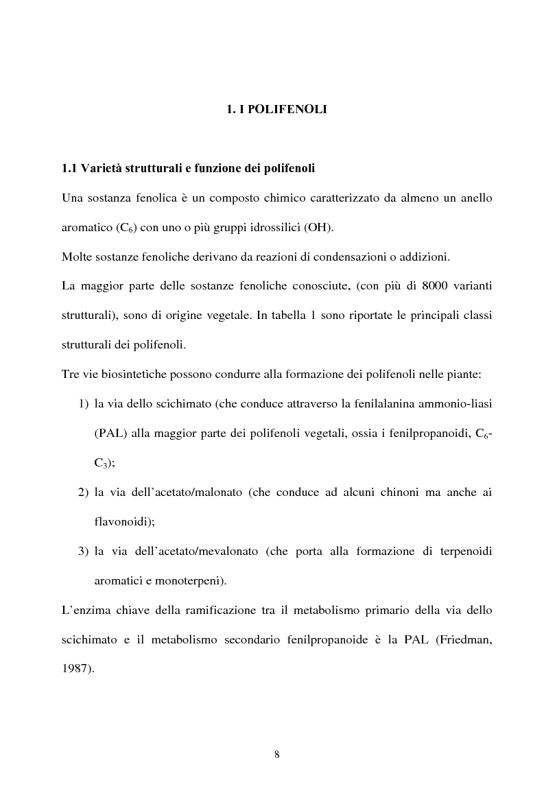 Anteprima della tesi: Piante micorrizate di carciofo: fenoli totali e attività antiossidante nei capolini, Pagina 6