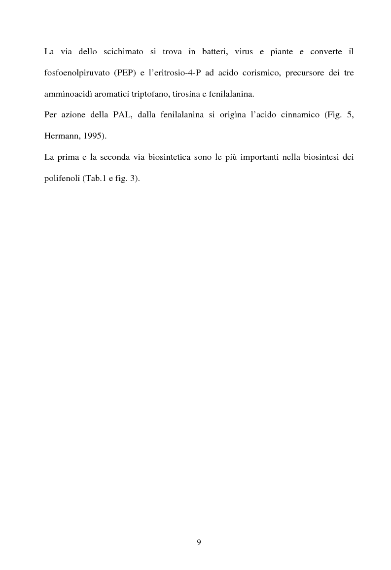 Anteprima della tesi: Piante micorrizate di carciofo: fenoli totali e attività antiossidante nei capolini, Pagina 7