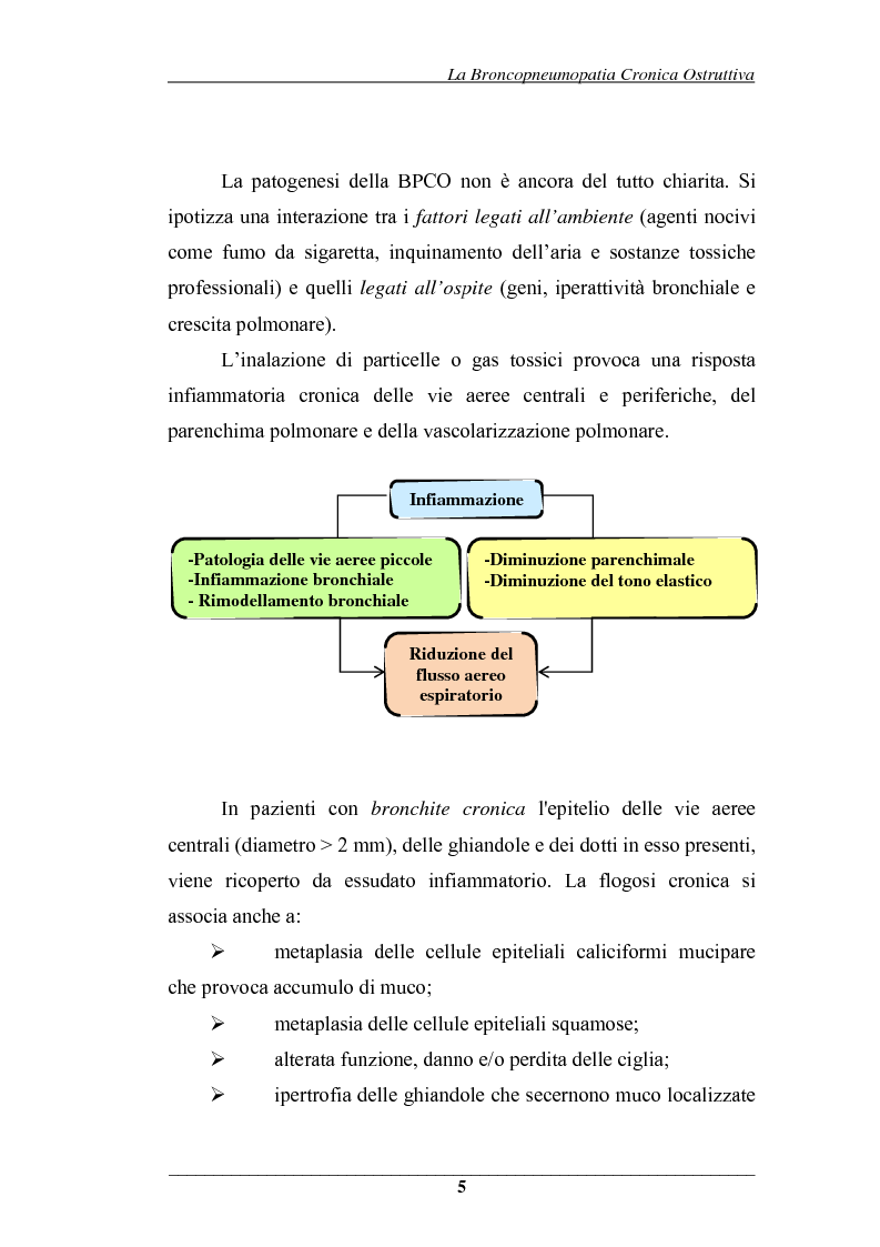 Anteprima della tesi: Effetti della ventilazione assistita non invasiva nella riabilitazione respiratoria di pazienti affetti da Broncopneumopatia Cronica Ostruttiva, Pagina 5