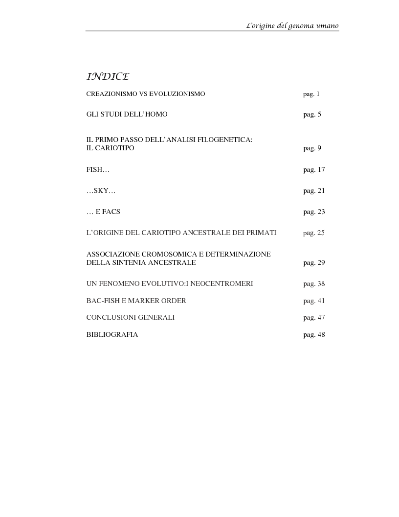Indice della tesi: La prospettiva citogenetica molecolare sull'origine del genoma umano, Pagina 1