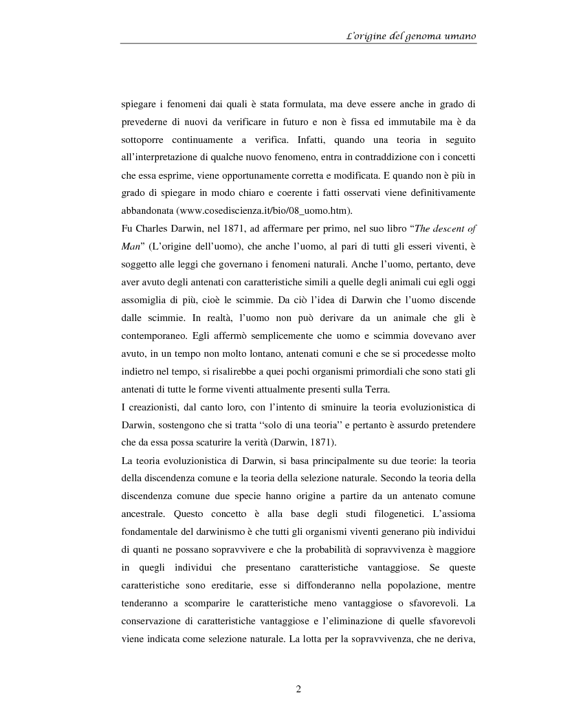 Anteprima della tesi: La prospettiva citogenetica molecolare sull'origine del genoma umano, Pagina 2