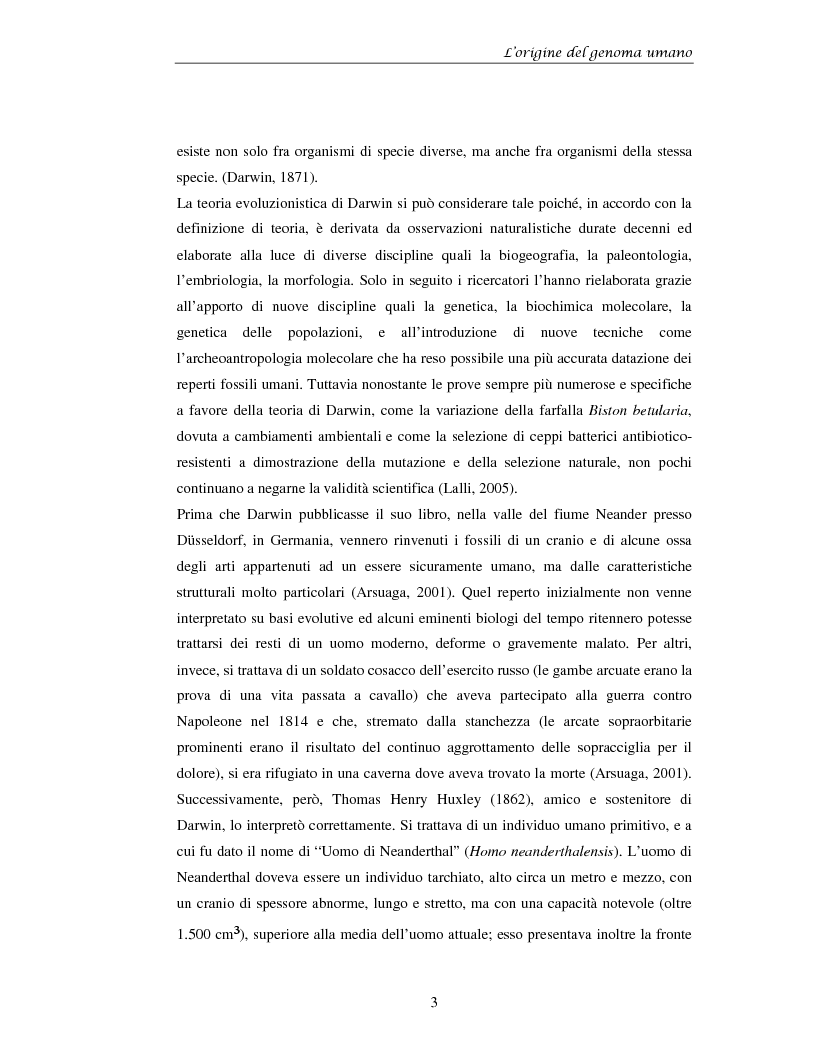 Anteprima della tesi: La prospettiva citogenetica molecolare sull'origine del genoma umano, Pagina 3