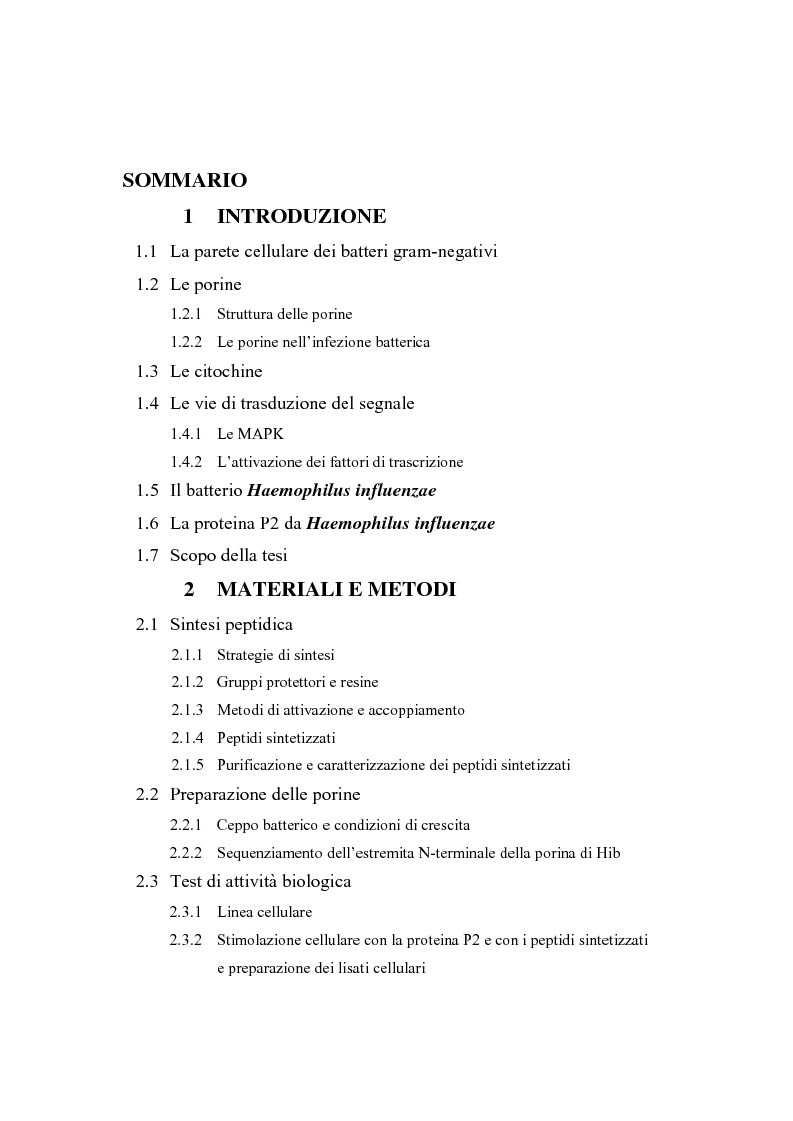 Indice della tesi: Proteina P2 da Haemophilus influenzae - Sintesi, caratterizzazione strutturale e attività biologica dei loop superficiali, Pagina 1