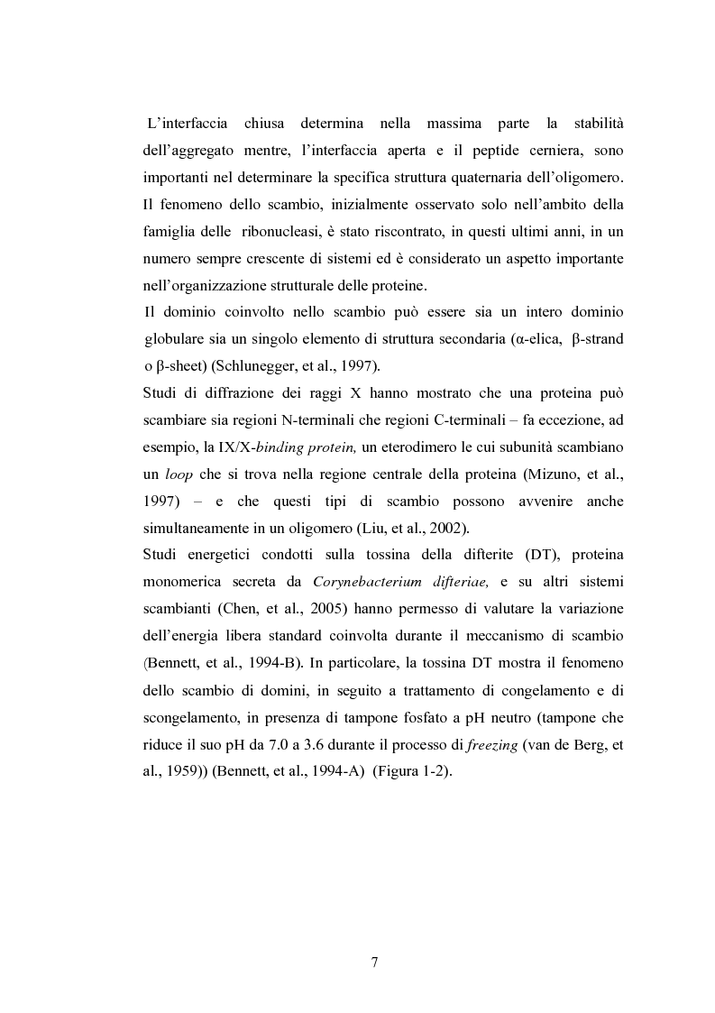 Anteprima della tesi: Ruolo dei peptidi cerniera nella formazione di dimeri non-covalenti della ribonucleasi bovina pancreatica mediante scambio di domini strutturali, Pagina 4