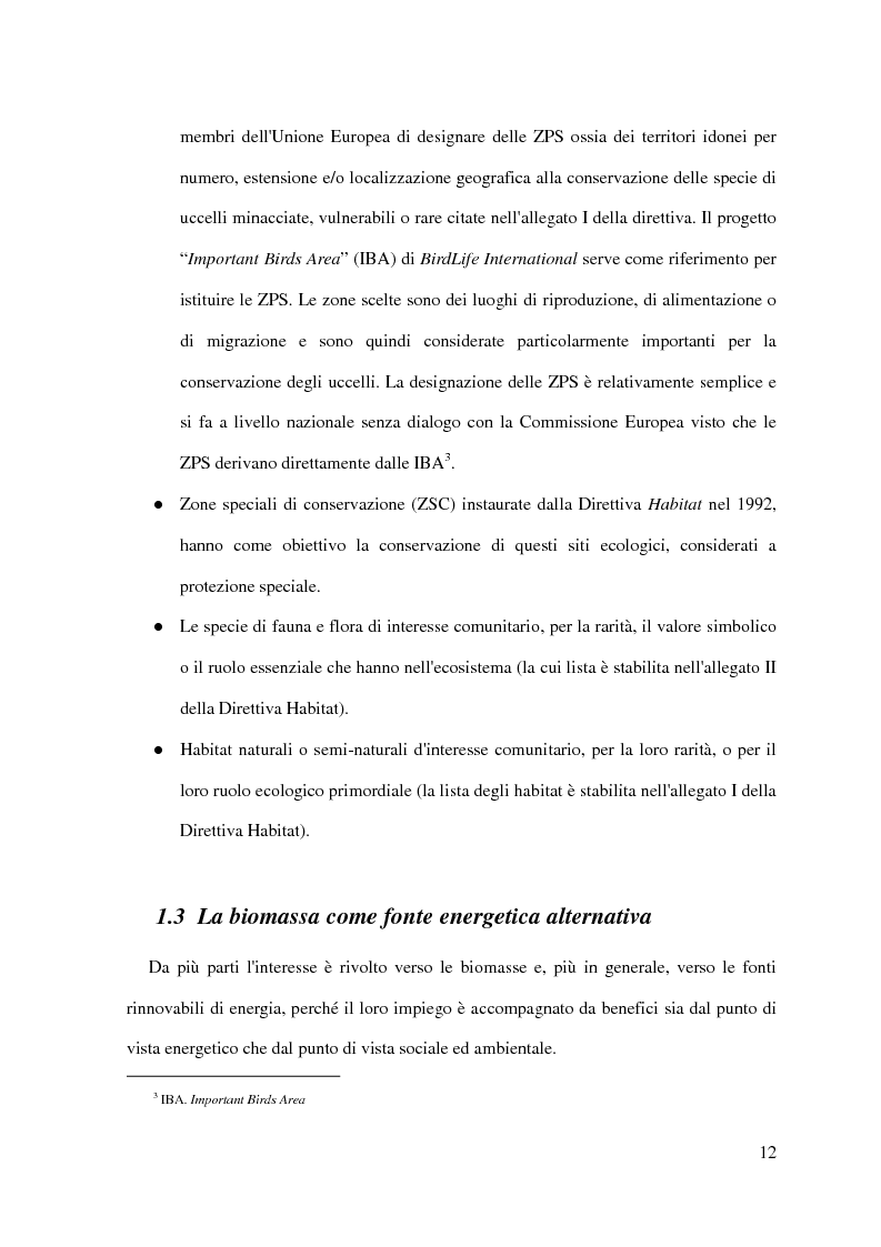 Anteprima della tesi: Metodo di analisi multicriteriale con metodologia GIS per la stima della biomassa agro-forestale applicato ad un impianto energetico presso il Pantano di Pignola, Pagina 8
