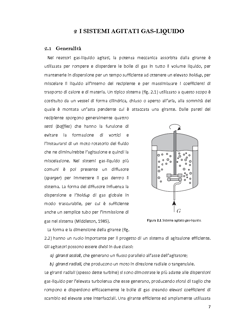 Anteprima della tesi: Modellazione e simulazione di dispersioni gas-liquido in recipienti agitati mediante tecniche di fluidodinamica numerica, Pagina 3