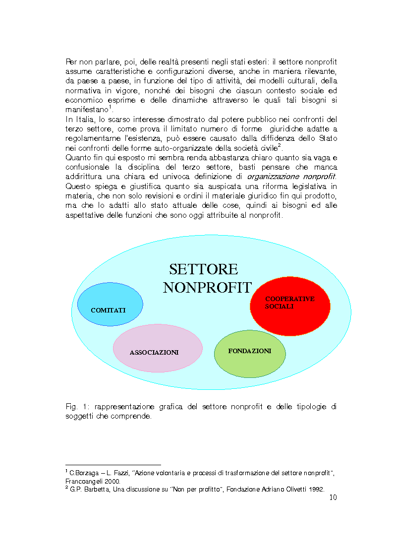 Anteprima della tesi: Sviluppo internazionale delle organizzazioni nonprofit, Pagina 7