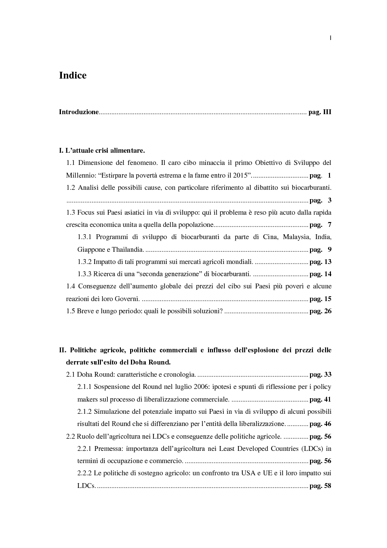 Indice della tesi: Millennium development goals: quali ostacoli al loro raggiungimento?, Pagina 1